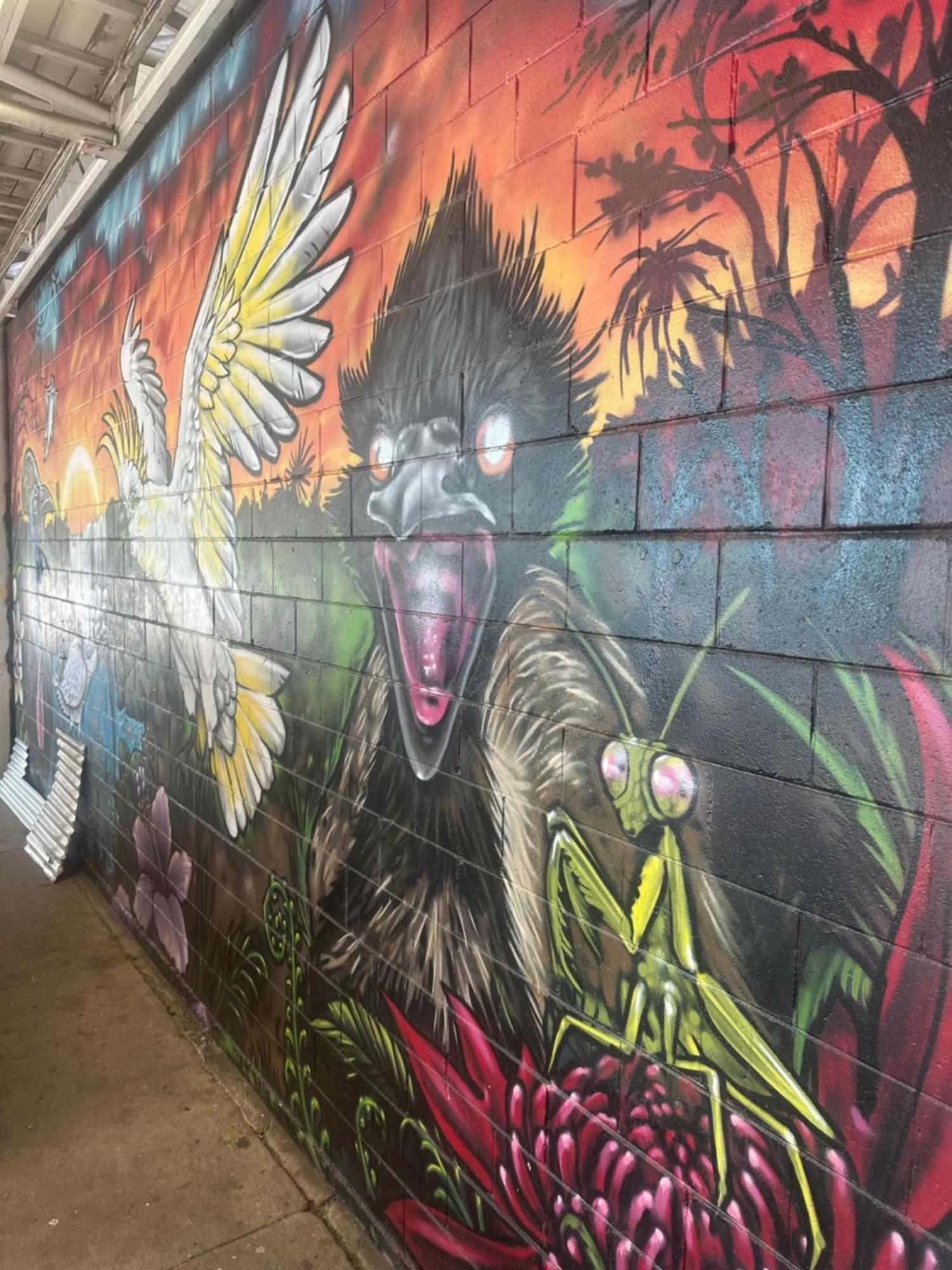 Hostel Habitat Backpackers Brisbane Zewnętrze zdjęcie