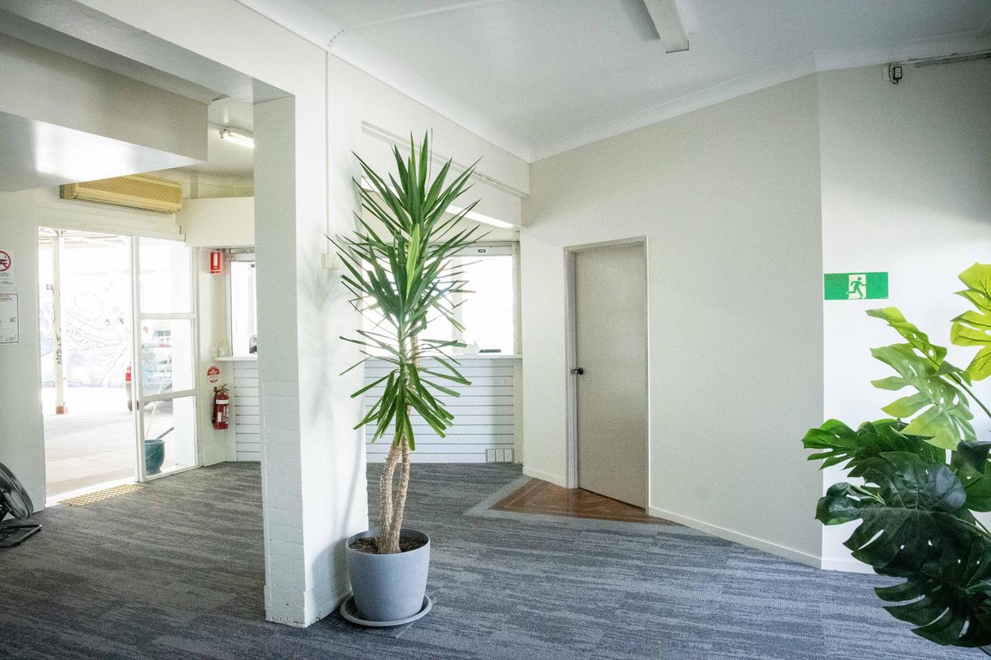 Hostel Habitat Backpackers Brisbane Zewnętrze zdjęcie